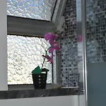 Vakantiehuis Quinta Figueiras *