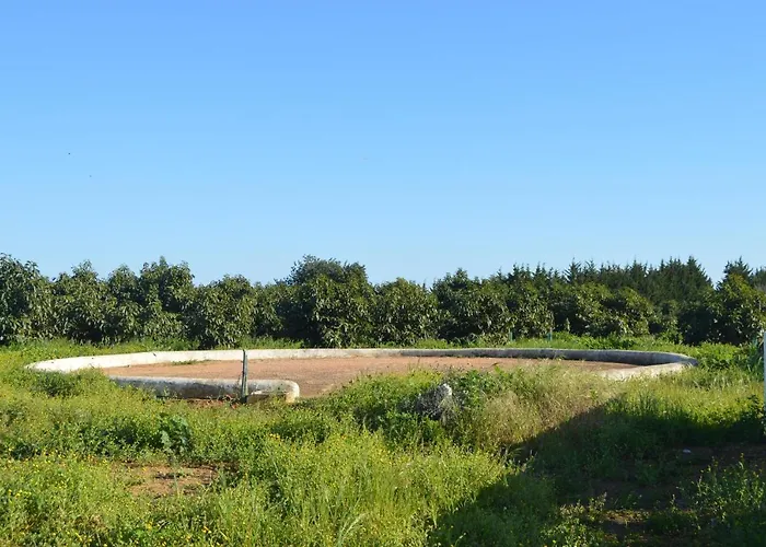 Quinta Das Figueiras *