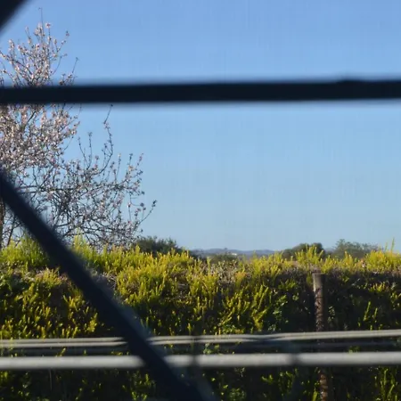 Quinta Figueiras Holiday home