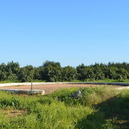 Quinta Das Figueiras *