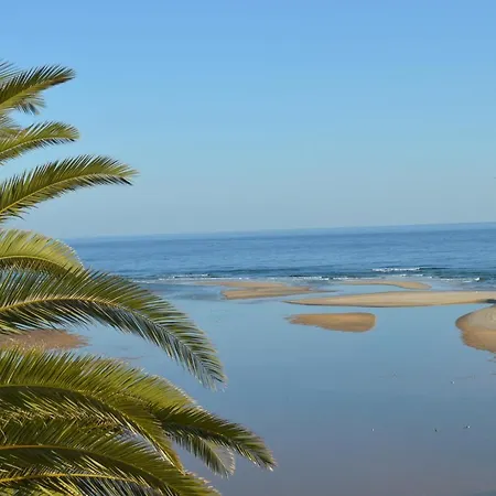 Quinta Das Figueiras *